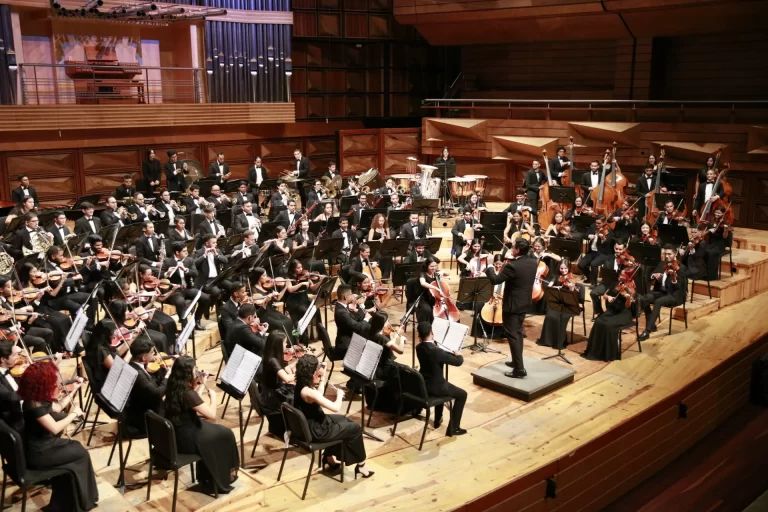 Orquesta Sinfónica Juan José Landaeta-03