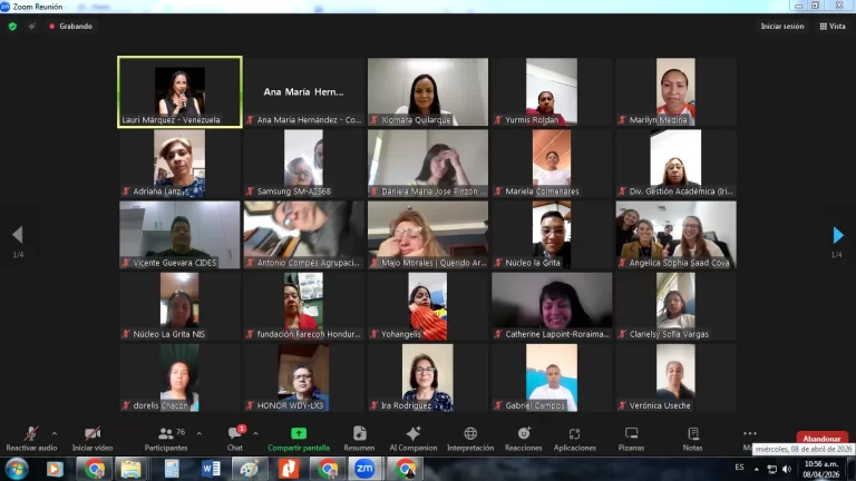 Bebés, inclusión social y música tradicional se abordaron en el Webinar de El Sistema