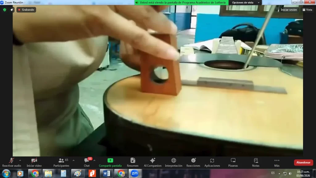 Culmina el Ciclo de Webinarios sobre Programas y Escuelas de El Sistema